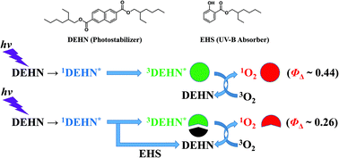 Graphical abstract: A novel characteristic of salicylate UV absorbers: suppression of diethylhexyl 2,6-naphthalate (Corapan TQ)-photosensitized singlet oxygen generation