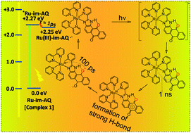 Graphical abstract: Hydrogen bond assisted photoinduced intramolecular electron transfer and proton coupled electron transfer in an ultrafast time domain using a ruthenium-anthraquinone dyad