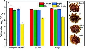 Graphical abstract: Toward better microbial safety of wheat sprouts: chlorophyllin-based photosensitization of seeds