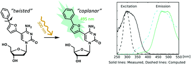 Graphical abstract: Photophysical investigation of two emissive nucleosides exhibiting gigantic stokes shifts