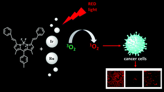 Graphical abstract: Novel ruthenium(ii) and iridium(iii) BODIPY dyes: insights into their application in photodynamic therapy in vitro