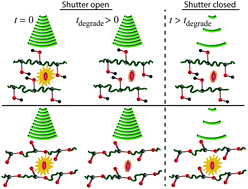 Graphical abstract: Recovery of photodegraded rhodamine 6g in ester-containing polymer matrices