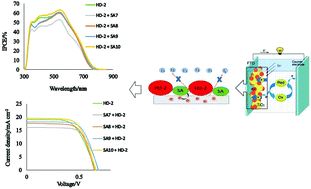 Graphical abstract: Co-sensitization of the HD-2 complex with low-cost cyanoacetanilides for highly efficient DSSCs