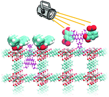 Graphical abstract: On-demand guest release from MOF-5 sealed with nitrophenylacetic acid photocapping groups