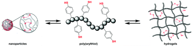 Graphical abstract: The synthesis of poly(arylthiols) and their utilization in the preparation of cross-linked dynamic covalent polymer nanoparticles and hydrogels