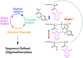 Graphical abstract: Precise control of single unit monomer radical addition with a bulky tertiary methacrylate monomer toward sequence-defined oligo- or poly(methacrylate)s via the iterative process