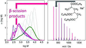 Graphical abstract: Identification of β scission products from free radical polymerizations of butyl acrylate at high temperature