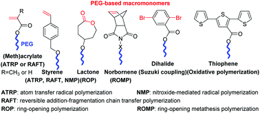 Graphical abstract: Recent development of brush polymers via polymerization of poly(ethylene glycol)-based macromonomers