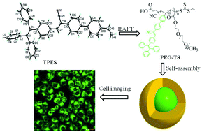 Graphical abstract: A polymerizable aggregation-induced emission dye for fluorescent nanoparticles: synthesis, molecular structure and application in cell imaging
