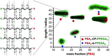 Graphical abstract: Shaping block copolymer micelles by supramolecular polymerization: making ‘tubisomes’