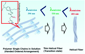 Graphical abstract: Photoluminescent poly(4-vinylpyridine)-based ionic liquids coded with l- and d-histidine: a supramolecular self-assembly leading to the formation of red-shifted photoluminescent helical aggregates