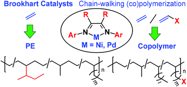 Graphical abstract: A continuing legend: the Brookhart-type α-diimine nickel and palladium catalysts