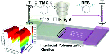Graphical abstract: Time-dependent FTIR microscopy for mechanism investigations and kinetic measurements in interfacial polymerisation: a microporous polymer film study