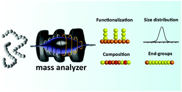 Graphical abstract: Hyphenation of size-exclusion chromatography to mass spectrometry for precision polymer analysis – a tutorial review