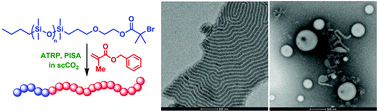 Graphical abstract: Polymerization-induced self-assembly based on ATRP in supercritical carbon dioxide