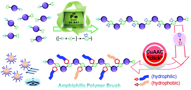 Graphical abstract: Iron-catalysed atom transfer radical polyaddition for the synthesis and modification of novel aliphatic polyesters displaying lower critical solution temperature and pH-dependent release behaviors