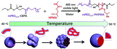 Graphical abstract: Combining the power of heat and light: temperature-programmed photoinitiated RAFT dispersion polymerization to tune polymerization-induced self-assembly
