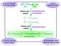Graphical abstract: In situ synthesis of poly(ether ester) via direct polycondensation of terephthalic acid and 1,3-propanediol with sulfonic acids as catalysts