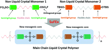 Graphical abstract: A sulfur(vi) fluoride exchange click chemistry approach towards main chain liquid crystal polymers bearing sulfate ester groups