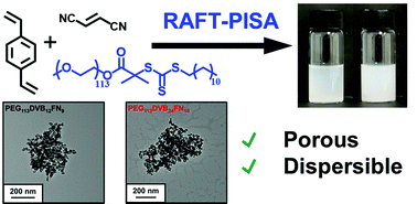 Graphical abstract: Dispersible microporous diblock copolymer nanoparticles via polymerisation-induced self-assembly