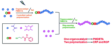 Graphical abstract: LED-induced controlled radical polymerization with an in situ bromine–iodine transformation and block polymerization combined with ring-opening polymerization using one organocatalyst