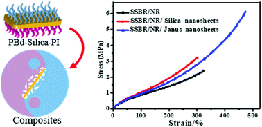 Graphical abstract: Amphiphilic Janus nanosheets by grafting reactive rubber brushes for reinforced rubber materials