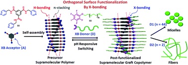 Graphical abstract: A pH-responsive graftable supramolecular polymer with tailorable surface functionality by orthogonal halogen bonding and hydrogen bonding