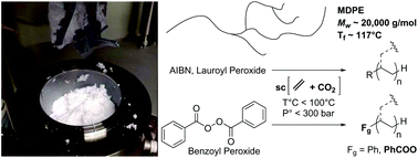 Graphical abstract: Ethylene free radical polymerization in supercritical ethylene/CO2 mixture