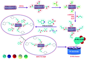 Graphical abstract: Rational design and tailoring of imprinted polymeric enantioselective sensor layered on multiwalled carbon nanotubes for the chiral recognition of d-mandelic acid