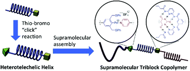 Graphical abstract: Synthesis of a heterotelechelic helical poly(methacrylamide) and its incorporation into a supramolecular triblock copolymer
