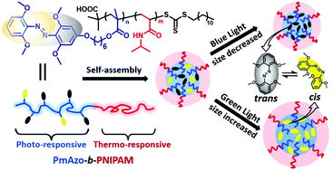 Graphical abstract: A new visible light and temperature responsive diblock copolymer