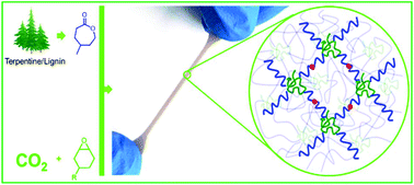 Graphical abstract: Highly elastic and degradable thermoset elastomers from CO2-based polycarbonates and bioderived polyesters