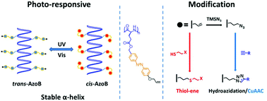 Graphical abstract: Synthesis of modifiable photo-responsive polypeptides bearing allyloxyazobenzene side-chains