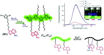 Graphical abstract: Synthesis of a soluble adenine-functionalized polythiophene through direct arylation polymerization and its fluorescence responsive behavior