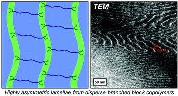 Graphical abstract: Dispersity and architecture driven self-assembly and confined crystallization of symmetric branched block copolymers