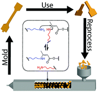 Graphical abstract: Reprocessable vinylogous urethane cross-linked polyethylene via reactive extrusion