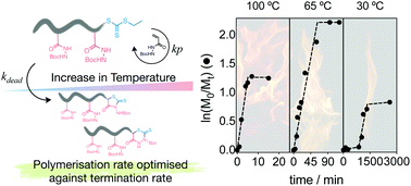 Graphical abstract: Poly(Boc-acryloyl hydrazide): the importance of temperature and RAFT agent degradation on its preparation