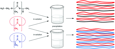 Graphical abstract: Stereocomplexation of cyclic polylactides with each other and with linear poly(l-lactide)s