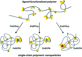 Graphical abstract: Preparation of metallosupramolecular single-chain polymeric nanoparticles and their characterization by Taylor dispersion