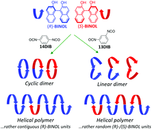 Graphical abstract: Synthesis and stereochemistry of helical polyurethanes based on 2,2′-dihydroxy-1,1′-binaphthyl and diisocyanatobenzenes