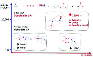 Graphical abstract: A double-site Lewis pair for highly active and living synthesis of sulfur-containing polymers