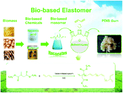 Graphical abstract: A solvent-less green synthetic route toward a sustainable bio-based elastomer: design, synthesis, and characterization of poly(dibutyl itaconate-co-butadiene)