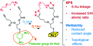 Graphical abstract: Synthesis of macrocyclic poly(ethylene oxide)s containing a protected thiol group: a strategy for decorating gold surfaces with ring polymers