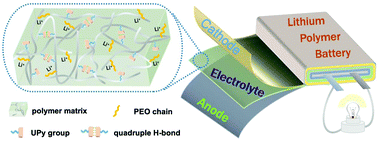 Graphical abstract: Self-healing and shape-memory solid polymer electrolytes with high mechanical strength facilitated by a poly(vinyl alcohol) matrix