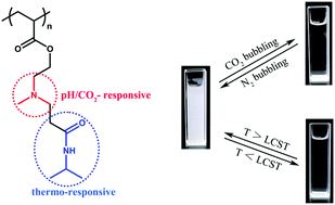 Graphical abstract: Design of smart polyacrylates showing thermo-, pH-, and CO2-responsive features
