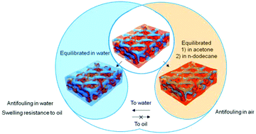 Graphical abstract: Heteronetwork organohydrogels with exceptional swelling-resistance and adaptive antifouling performance