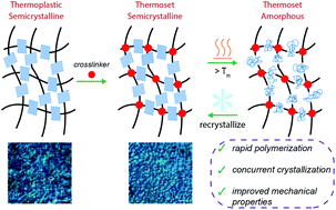 Graphical abstract: Additive manufacture of lightly crosslinked semicrystalline thiol–enes for enhanced mechanical performance