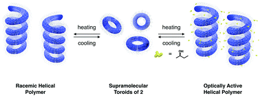 Graphical abstract: Reversible helical polymerization of supramolecular toroidal objects