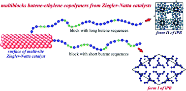 Graphical abstract: The blocky structure of Ziegler–Natta “random” copolymers: myths and experimental evidence