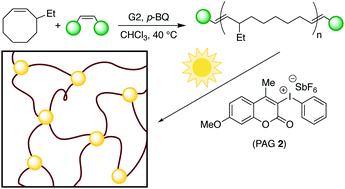 Graphical abstract: Processable epoxy-telechelic polyalkenamers and polyolefins for photocurable elastomers